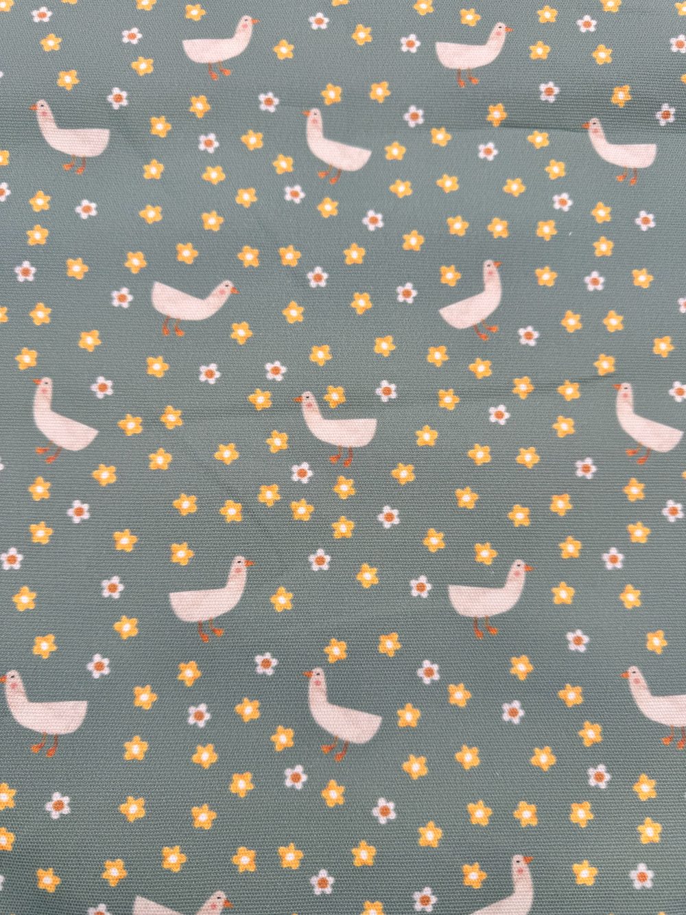 Duckling days canvas
