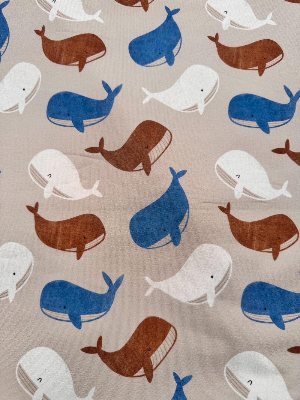 Little Whales – French Terry
