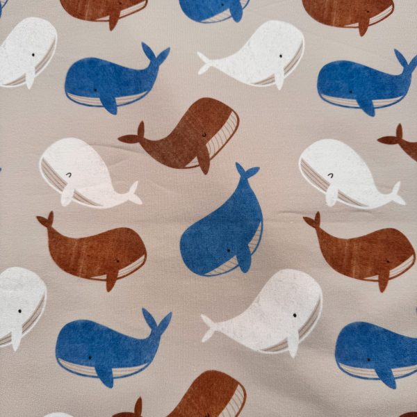 Little Whales – French Terry