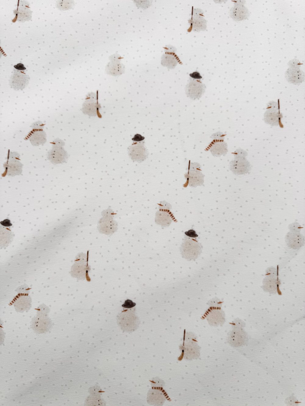 Frosty Friends – Jersey