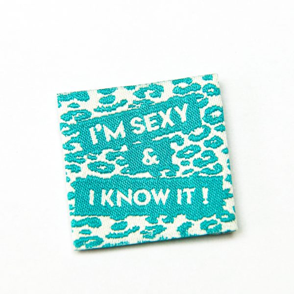 I'm sexy & i know it