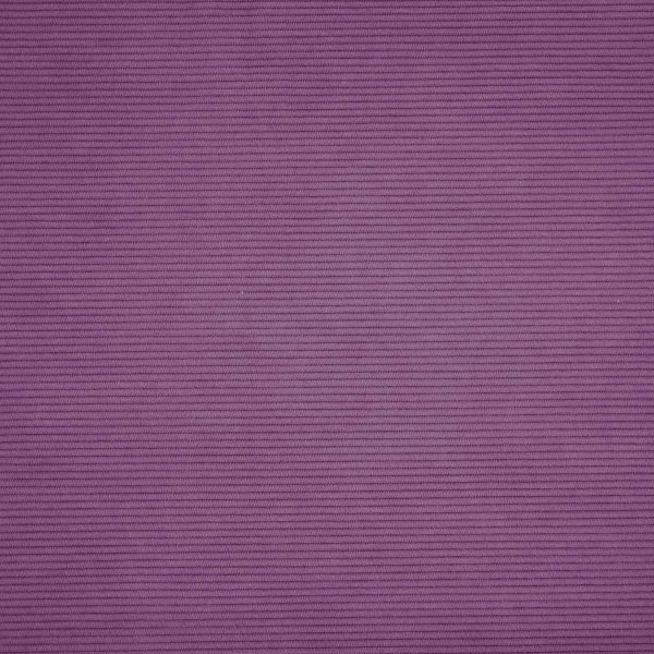 Corduroy basic Purple