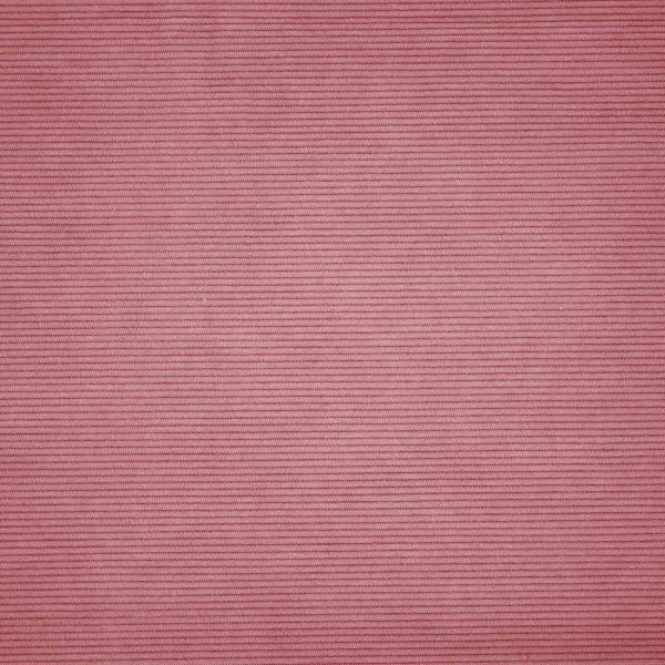 Corduroy basic rose
