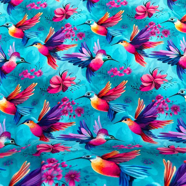 Colourfull kolibrie jersey