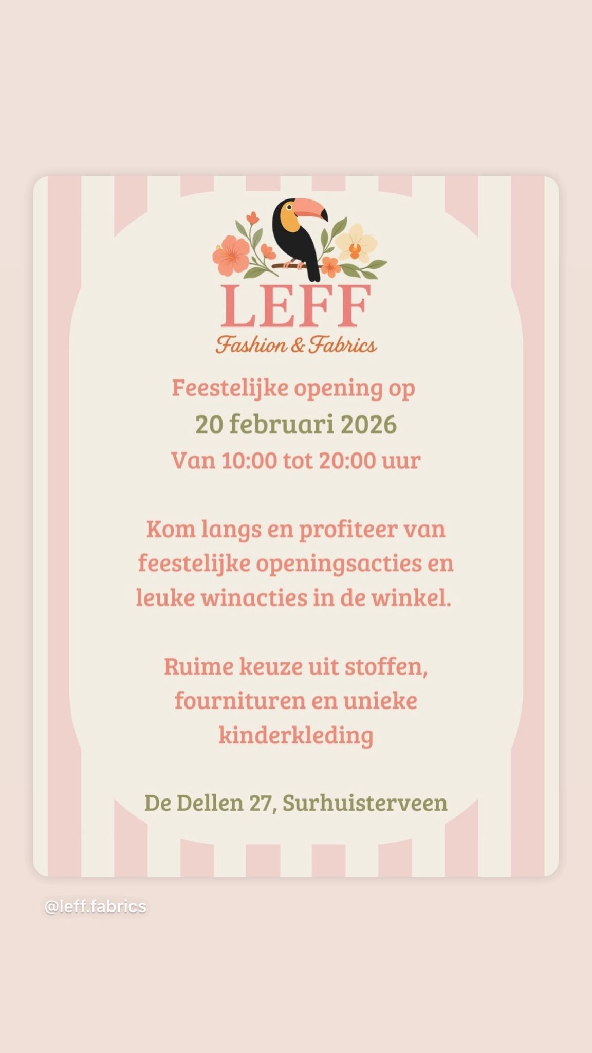 WhatsApp Image 2026-02-19 at 13.39.51