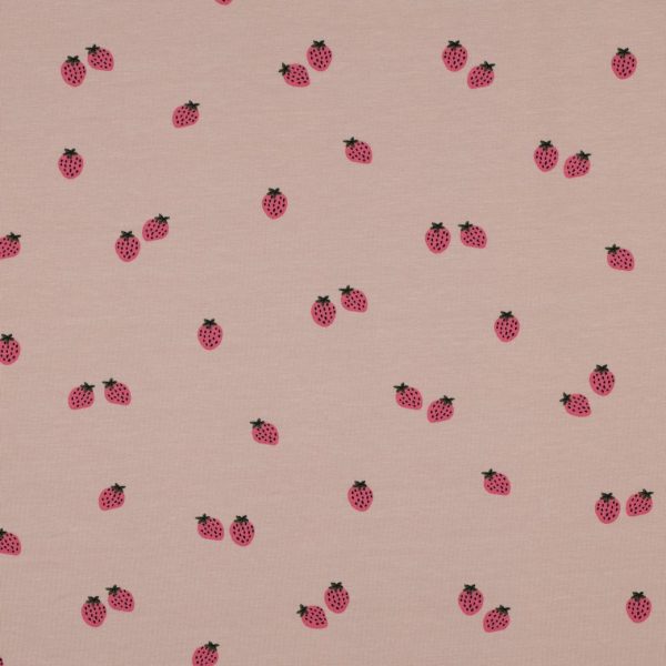 Katoenen jersey little strawberries