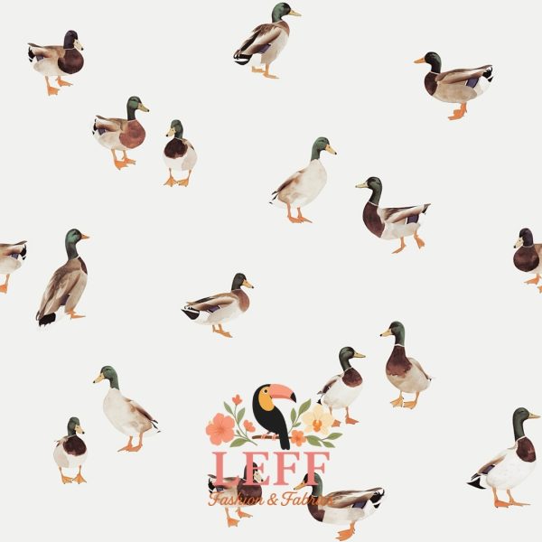 Leff’s Wilde Eendjes Jersey 🦆🤎🌿